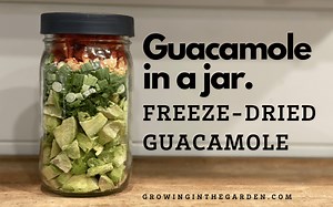 Guacamole in a Jar: Freeze-Dried Guacamole