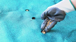 15K views · 26 reactions | Easy Gardening Hacks to Simplify Your Routine | Green Bean | Facebook