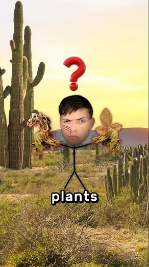 Tips That Will Save Your Life Tutorial 😧