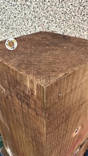 Amazing Life Hacks to Simplify Your Day