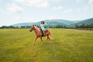 Virginia Road Trip Itinerary: from Wise, to Richmond, to the Eastern Shore