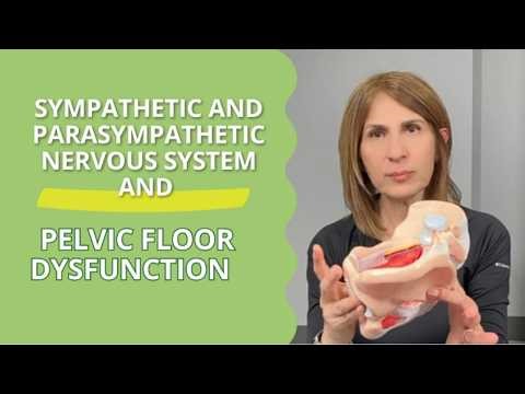 Sympathetic and Parasympathetic Nervous System and Pelvic Floor Dysfunction #pelvicfloordysfunction