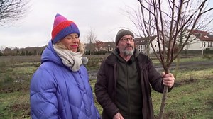 rbb Gartenzeit: Obstbaumschnitt: Der Erziehungsschnitt