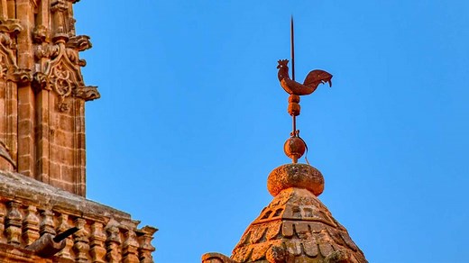 Leyenda quiteña: El gallo de la Catedral