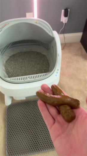 What happens when your cat goes poop in the pet pivot? ##cats##litterbox##catlitter##automaticlitterbox##TikTokShopFalIDealsForYou