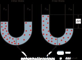 Diferența dintre presiunea osmotică și presiunea oncotică | Presiunea osmotică vs. presiunea oncotică - ȘTiință și natură 2025