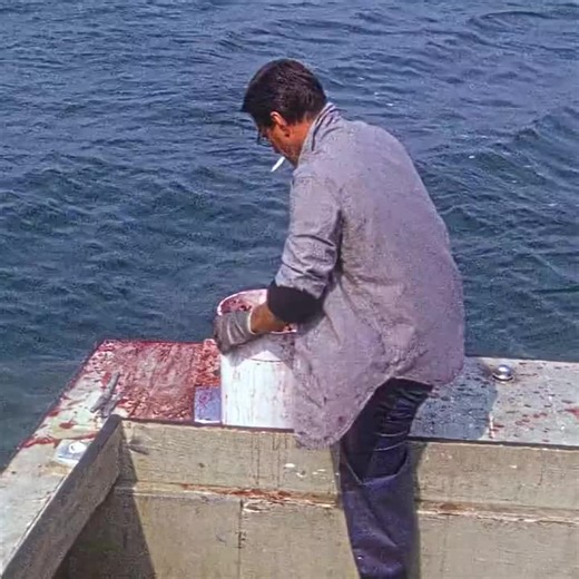 #ballibotmogis #Trendingreels #Trendingreels #Foryoupage ##FYP #ViralTiktok #milionviews #Techmagic #Smartbot #AITrend #robotvibes #Innovation