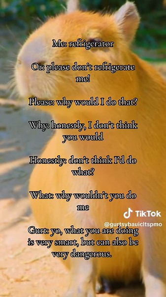 gurtsybauicltspmo on TikTok