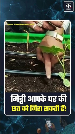 #Shorts | Soil can bring down your house's roof!