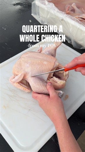 Hi, I’m your aunt now, and I need to teach you how to quarter a whole chicken. 😉 #meatchickens #cornishcross #chickenquarters #homestead