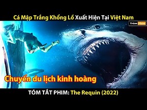 Review Phim: Sống Sót Siêu Phàm Trước Hàm Cá Mập | Tóm Tắt Phim: The Requin (2022) | Full