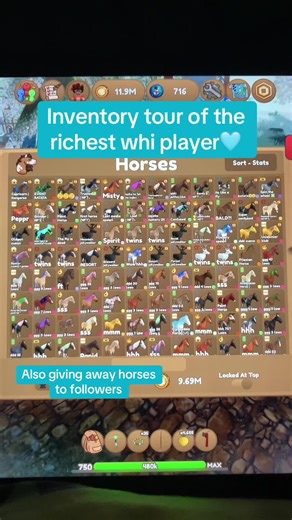 Inventory Tour of the Richest Player in Wild Horse Islands