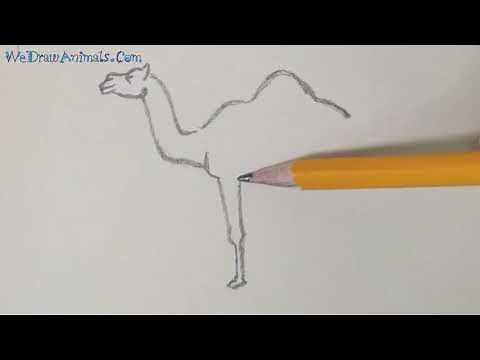 How to Draw a Camel In 7 EASY Steps - GREAT for Kids & Beginners
