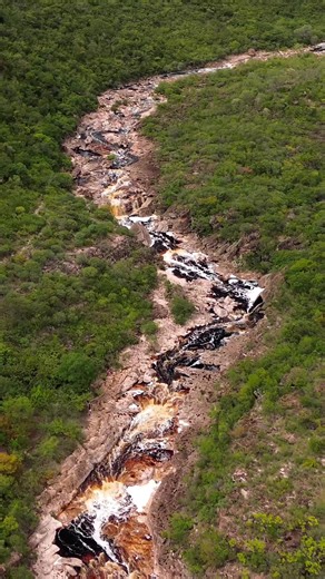 Photos Evolution no TikTok