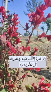 Jo Banda isha k bad ya Dua parnahga... | The Islamic life