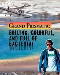 YVO Monthly Video Update July 1, 2025 Longer than an American football field, Grand Prismatic is one of the largest hot springs in the world, and probably the most colorful. It is famous for its brilliant blue center and vibrant yellow, orange, and red colors that occupy its rim. A “boiling lake” 300 feet across was described by trappers in 1839. They wrote about its distinct colors but weren't sure where the colors came from. In the early 1990s, an intrepid Park Geologist named Roderick “Rick” 
