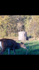 1.8K views · 22 reactions | When we say make the best mock scrape or...