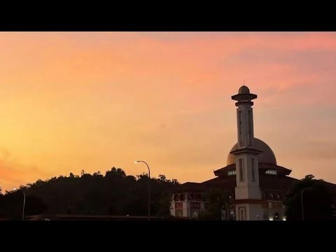 grammar week 6 (unit 16)