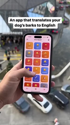 Wait for it 😳 #dogtranslator