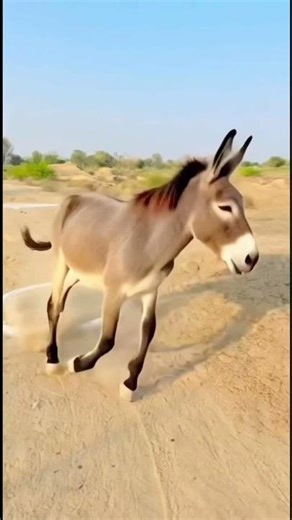 Magic circle ⭕️ Part 1