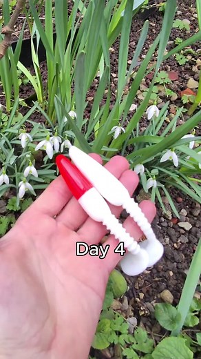 DIY 2-Color Fishing Lure Without Double Injector