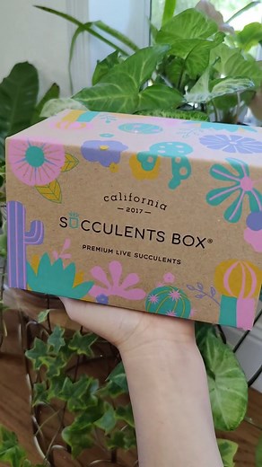 4.4K views · 125 reactions | Our box for the month of love is here ❤️ #succulentsbox #subscriptionbox #succulents #cactus | Succulents Box | Facebook