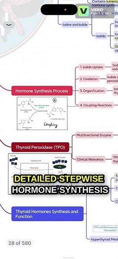 Thyroid Peroxidase | #mbbs #medicaleducation