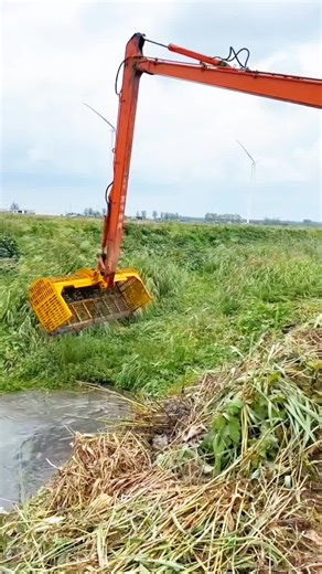 Outdoor Fishing Fun with an Excavator