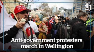49K views · 1.5K reactions | Another protest has arrived at the steps of Parliament — and they're calling for a snap election to remove the current Government.  https://bit.ly/3dHYOAN | nzherald.co.nz | Facebook