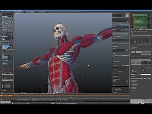 X-Muscle System for Blender