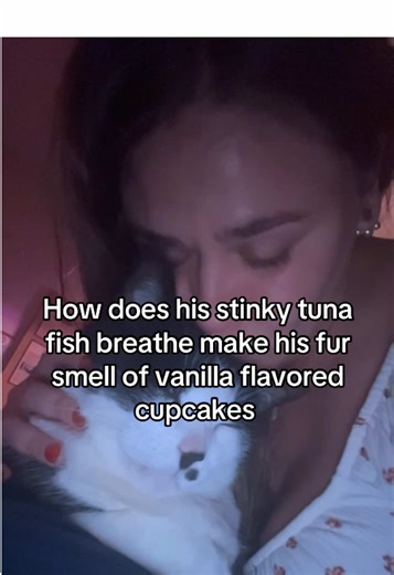 I’m under the impression he NEVER gets tired of me(: #tomcat #catsoftiktok #catlovers #blackandwhitecat