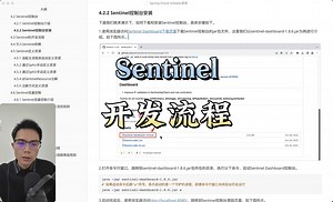 Sentinel如何安装？以及开发流程是什么？