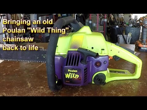 Bringing a Poulan chainsaw back to life; Poulan Wild Thing