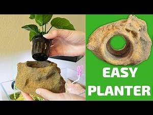 Easy Planter – The EASY Way to Stop Plants from Uprooting