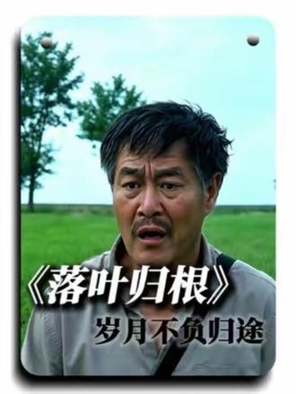 赵本山老师在影片中是其银幕演技的巅峰之作#落叶归根#励志 #高分电影 #深度解说