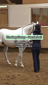 Handarbeit als Aufbautraining? Oh ja, das geht! Expertin Kathrin Roida zeigt dir die richtige Hilfengebung in der Handarbeit - Vom Führen bis zur Piaffe. 💚 Jetzt wehorse 7 Tage lang kostenlos testen & sofort loslegen! 👉🏻 https://www.wehorse.com/de/kurs/pferd-gymnastizieren-handarbeit-bodenarbeit/ | wehorse