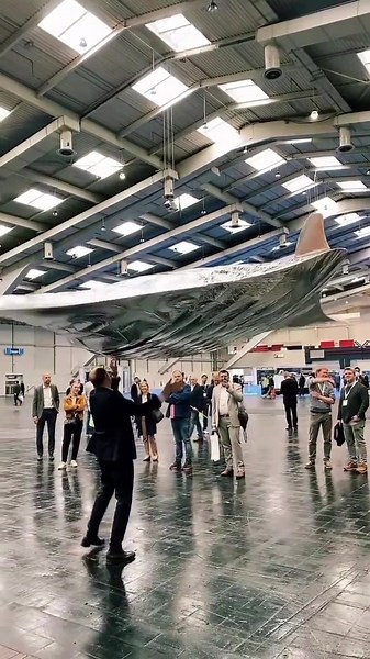 Flying Mechanical Stingray🌊 | icanbecreative