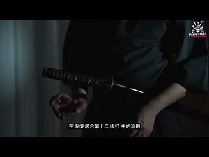 ⚔️🔥 Iaido Sword Technique Demo — A Perfect Blend of Speed and Precision!