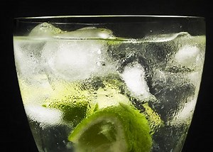 Troy Patterson Considers the Gimlet, the Most Unscrewupable of Cocktails