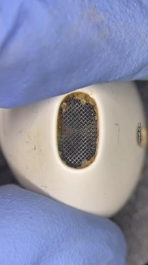 ASMR AirPods cleaning under the microscope 🔬 It’s common for earphones over the time to get dirty and clogged up with earwax👂 Learn how to clean your earphones by watching “How to clean your Apple Airpods” video on our YouTube channel ➡️ https://youtu.be/r3oDRTnliuU . . . . . #apple #airpods #appleairpods #airpod #airpodspro #cleaning #wireless #wirelessairpods #earphone #appleproducts #cleaning #satisfyingcleaning #satisfying #oddlysatisfying #earwax #asmr #asmrvideos #asmrcleaning #asmrcommu