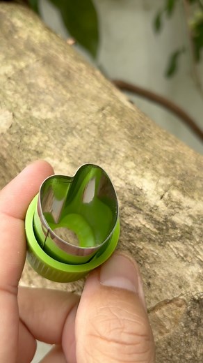 Heart-Shaped Budding on Lagerstroemia Tree – A Romantic Touch to Grafting! 💚 #gardening #budding #grafting #Lagerstroemia #heartshaped #plantpropagation #DIYgarden | Cha Garden