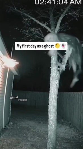 80K views · 1.9K reactions | Creepy Scary Ghost Stories on Reels | Facebook