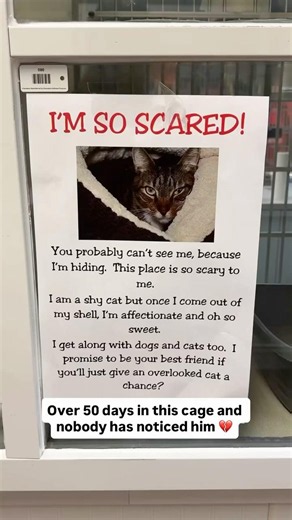Not a single application for Perry 😔 Please read his story in the comments and share 🙏