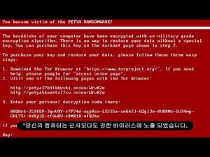 [Korean/ENG CC] Destroying Windows with Viruses - MEMZ and Petya (Flash Lights Warning)