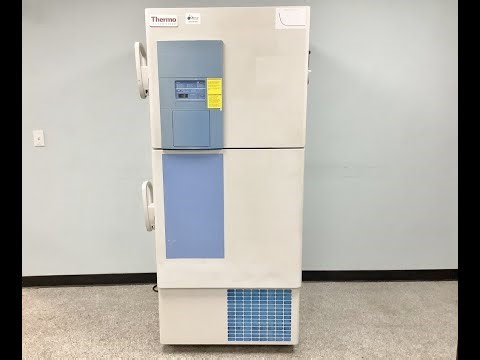 Thermo 900 Series Ultra Low Freezer ID 28006