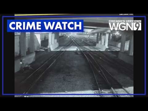 Video shows car fly off roadway, crash into train car during police pursuit in Bedford Park