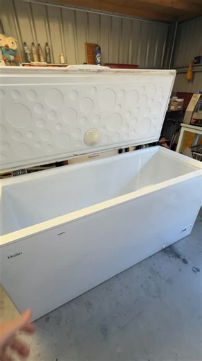 OnlyCans 🍻 on Instagram: "Day 1 of becoming THAT bloke who won’t shut up about cold plunges ❄️😂 I finally built my own cold plunge using a chest freezer and decided to give it a crack for the first time… and mate, nothing could’ve prepared me for that first 10 seconds. Supposed to be good for recovery, energy, mental clarity… right now all I feel is FROZEN. But I’ll admit — I get why people are obsessed. #coldplunge #icebath #diycoldplunge #coldtherapy #freezerplunge #firsttime #