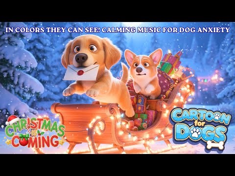 Music Cartoon for Dogs to Watch, in Colors They Can See! ❄️🐶 Anti-Anxiety & Prevent Boredom