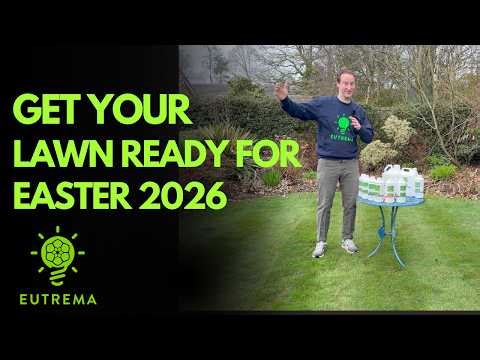 Ultimate Spring Lawn Care Guide 2026: Get Your Grass Easter-Ready!