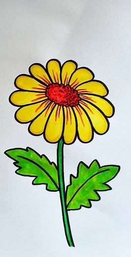 How to draw a beautiful flower by pencil sketch #drawing #draw #howtodraw #pencildrawing #flowerdrawing #kidsdrawing | SSR Art's